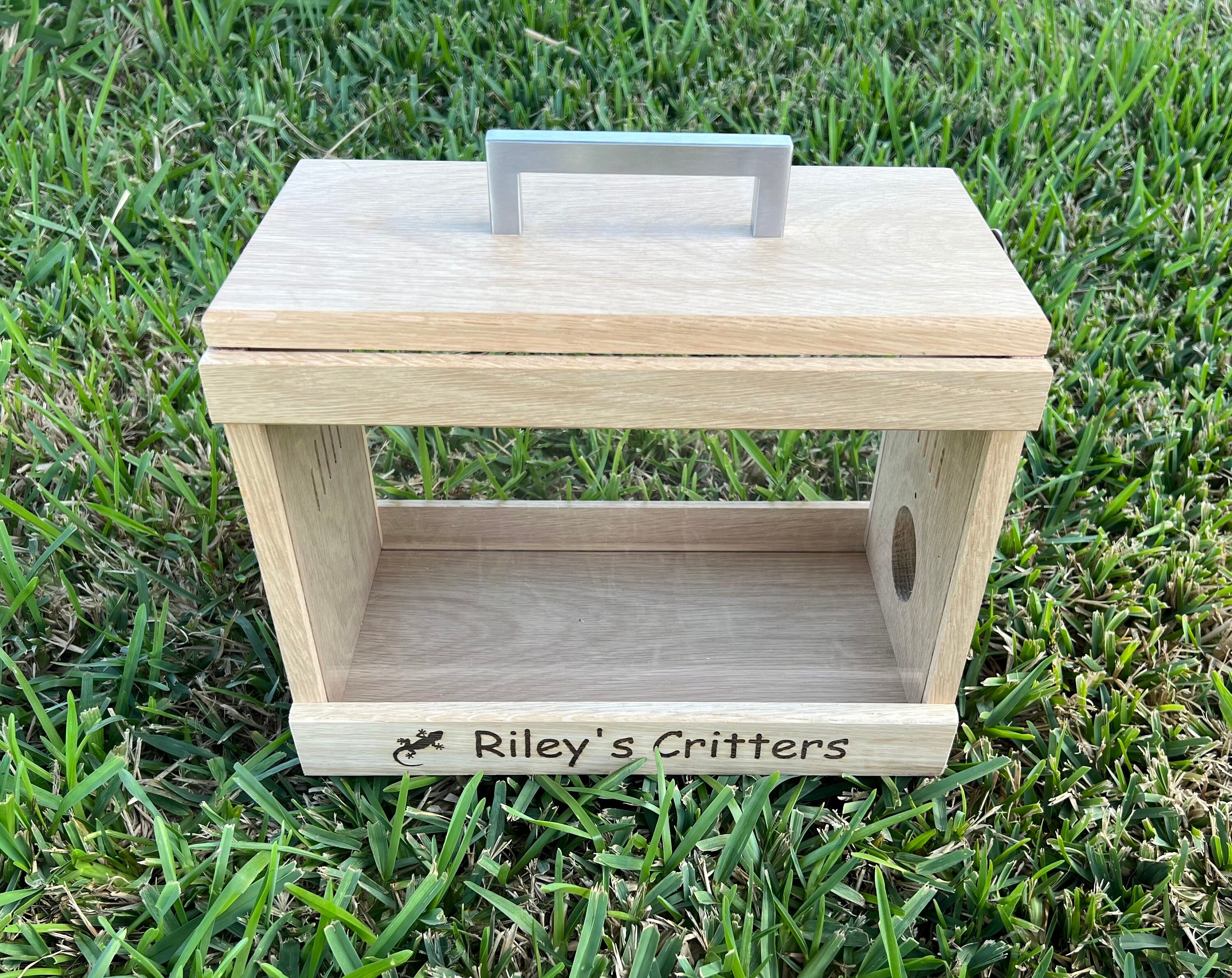 Personalized Bug Box | Bug Box for Children | Critter Cage | Reptile ...