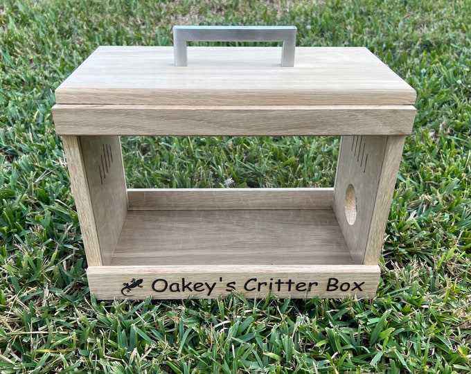 Personalized Bug Box | Bug Box for Children | Critter Cage | Reptile ...