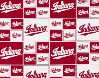 以下が含まれることがあります： 赤と白の背景に、スタイリッシュなスクリプトで「Indiana」という言葉が繰り返されるパターン。デザインは、赤いアウトラインを持つ太字の白いフォントで「Indiana」という言葉を特徴とし、赤と白の正方形を交互に配置しています。