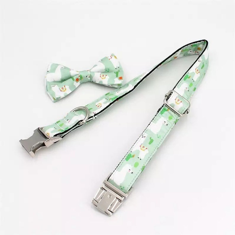 Personalized Dog Collar Boy XS Puppy Collar and Leash Dog Etsy