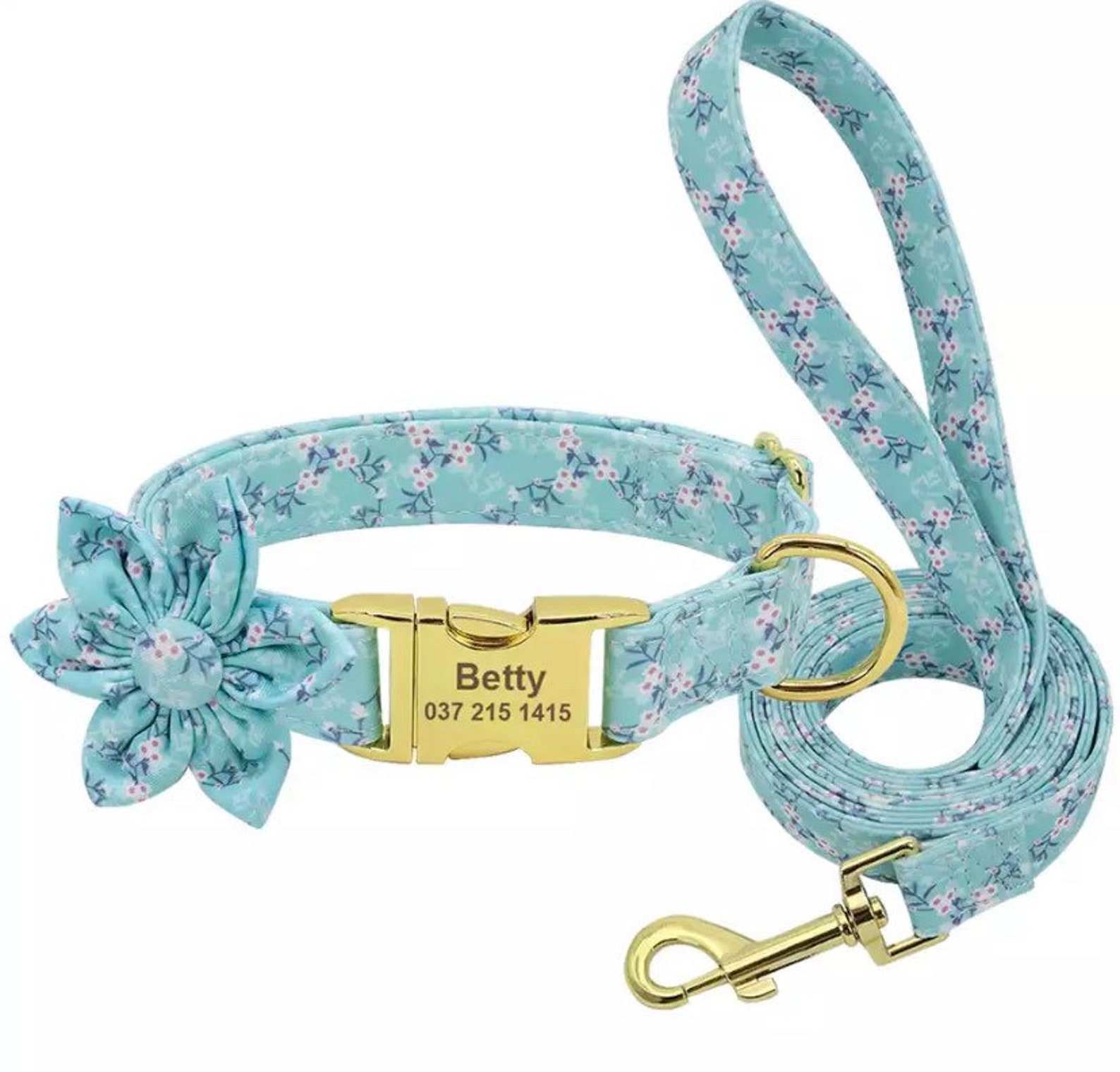 Personalized Dog Harness Leash Girl Dog Harness No Pull Etsy