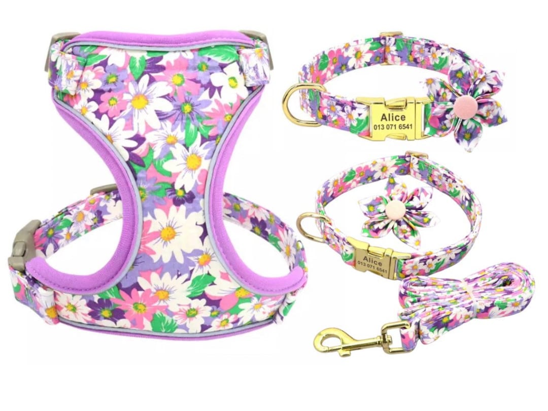 Personalized Dog Harness Leash, Girl Dog Harnes, No Pull Harness