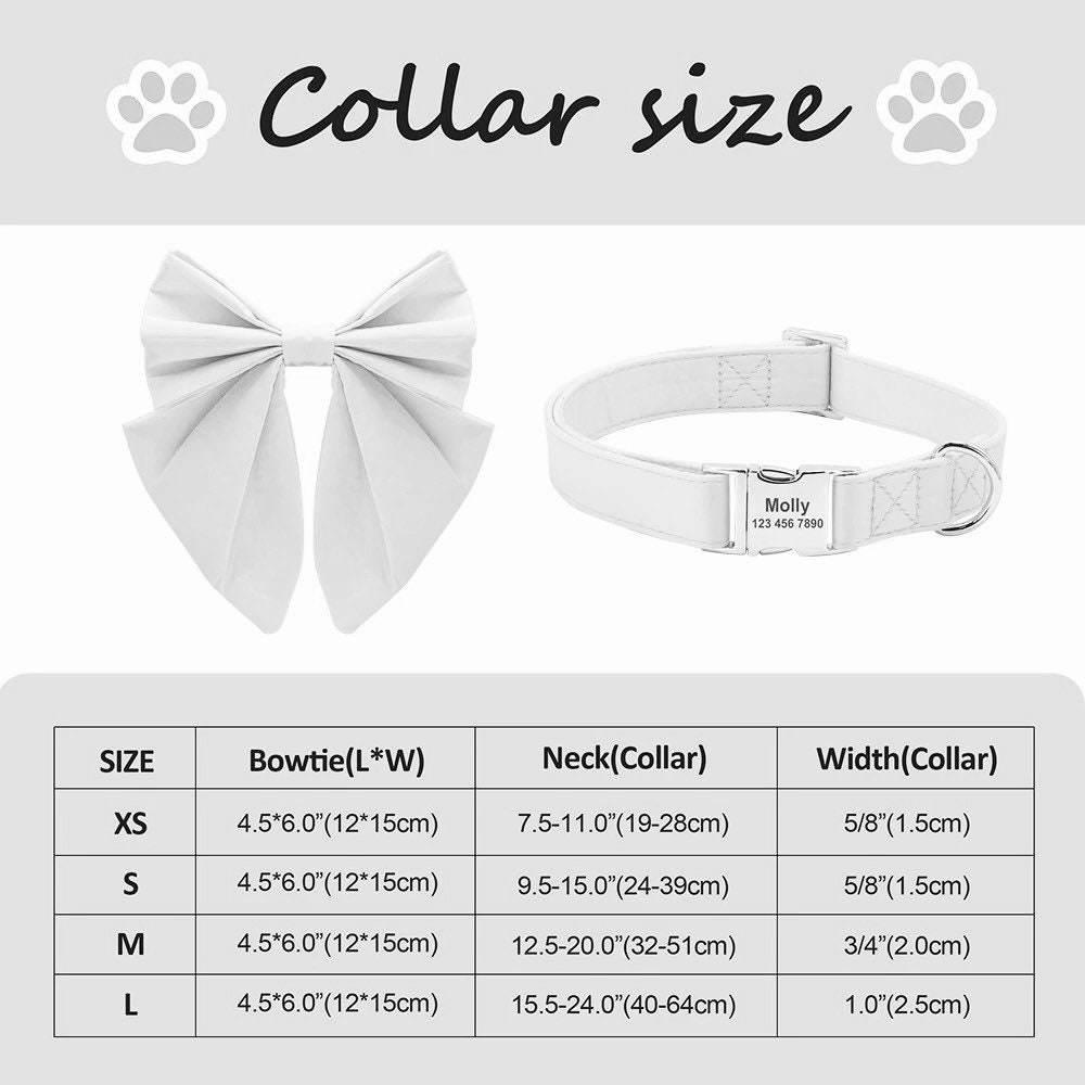 Dog Collar Personalized Engraved Dog Collar Girl Girl Puppy Etsy