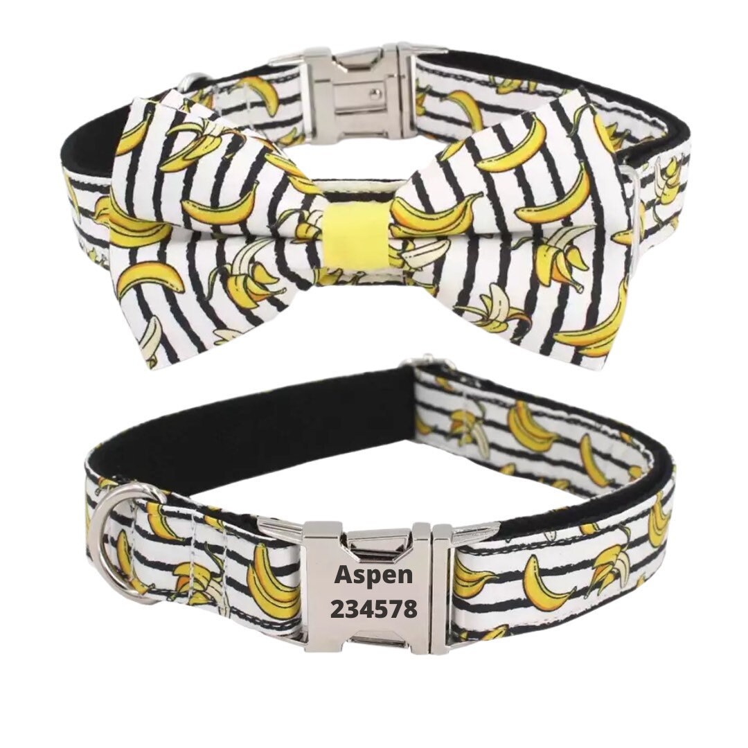 Personalized Dog Collar, Boy Dog Collar Bow, Xs Dog Collar Boy, Cute
