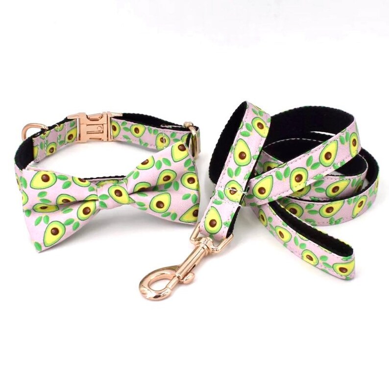 Personalized Dog Collar girl boy dog collar Bow xs Dog Etsy
