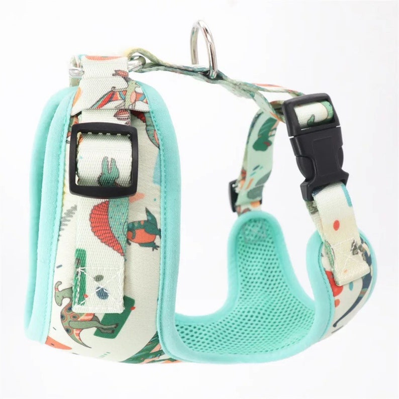 Dino Dog Harness Fun Dog Harness Set. No Pull Dog Harness Etsy