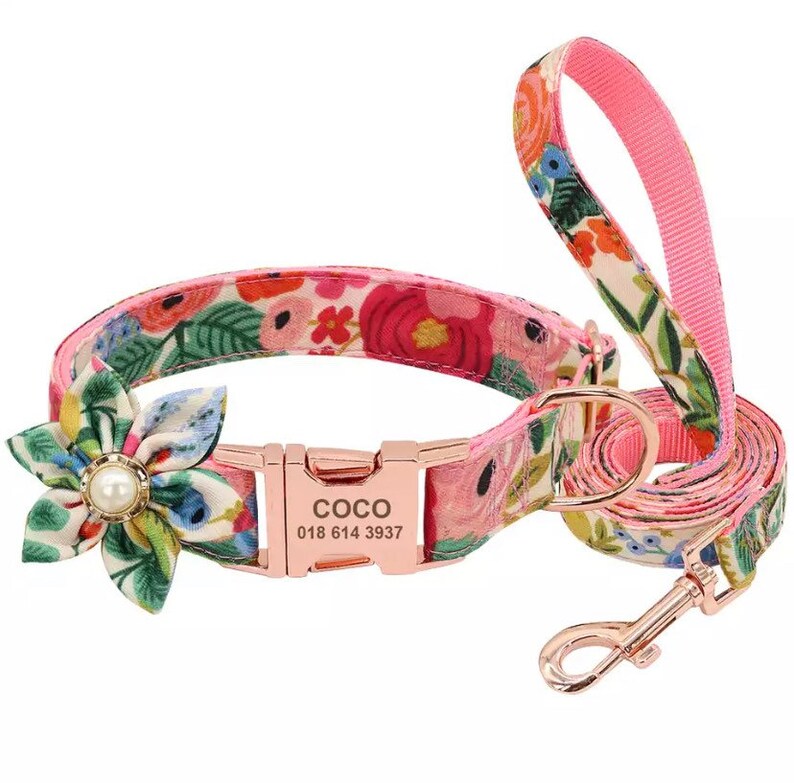 Personalize Dog Collar for Girl Female Puppy Collar and Etsy