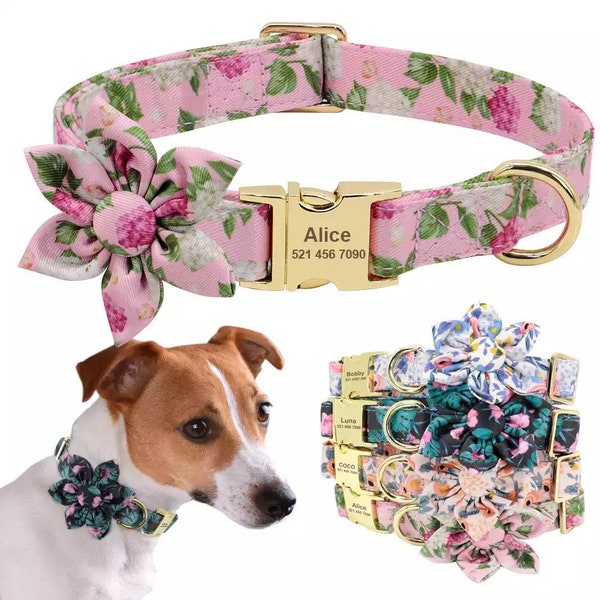 Female Dog Collar Etsy