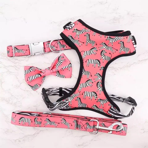 Personalized Dog Harness Leash Girl Dog Harnes No Pull Etsy