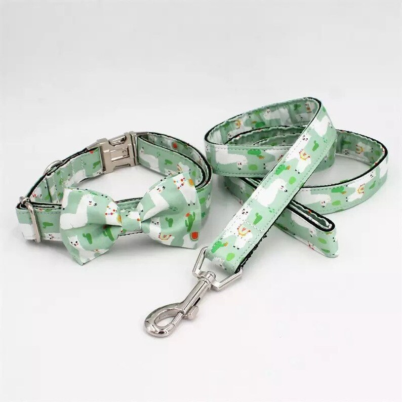 Personalized Dog Collar Boy XS Puppy Collar and Leash Dog Etsy