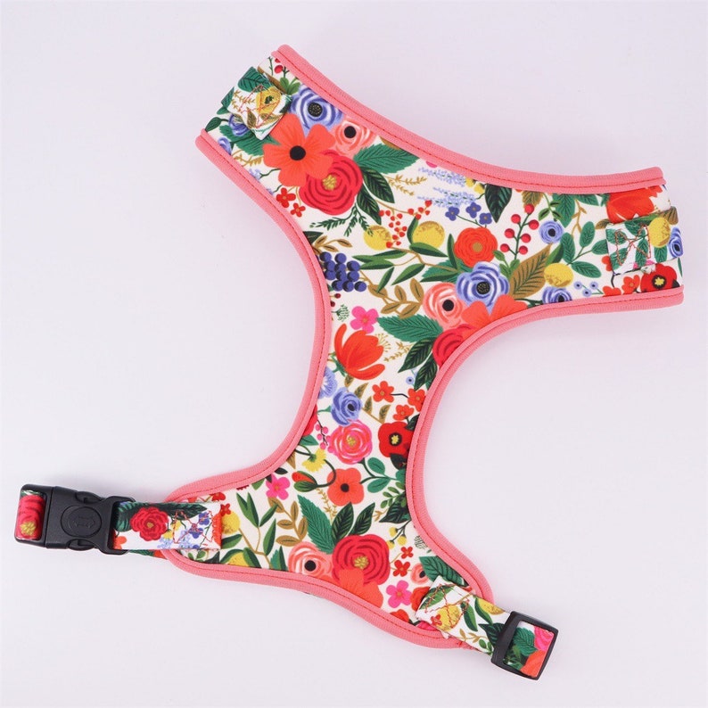 Floral Dog Harness Girl Dog Harness Set. No Pull Dog Harness Etsy