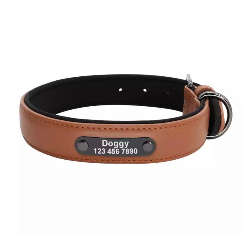 Personalize Leather Dog Collar Dog Collar With Nameplate Etsy