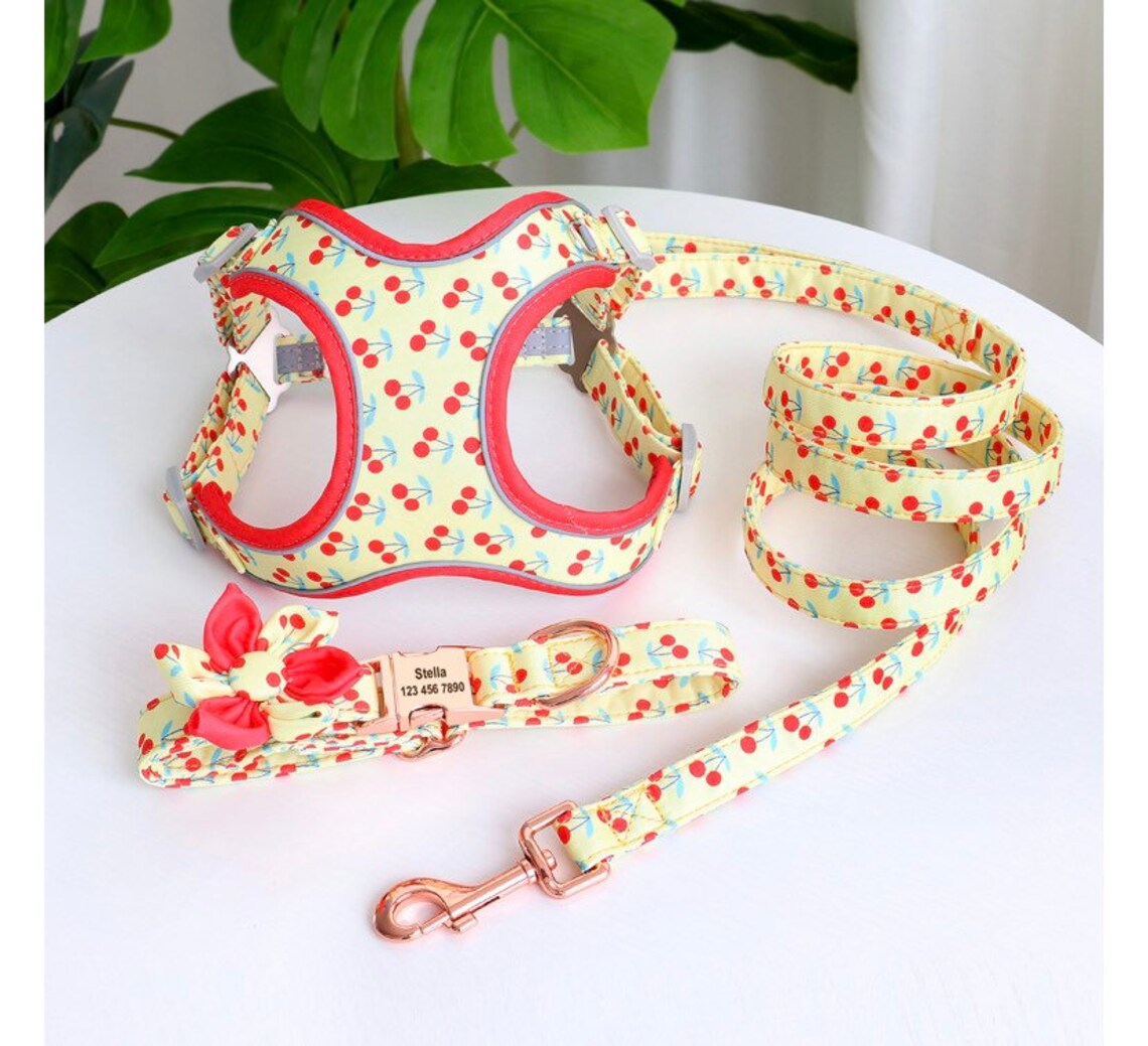 Personalized Dog Harness Set Floral Dog Harness and Etsy