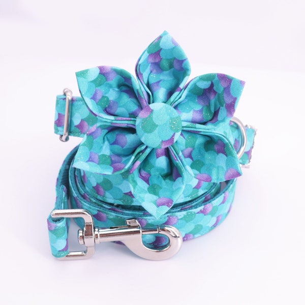 Female Dog Collar Etsy