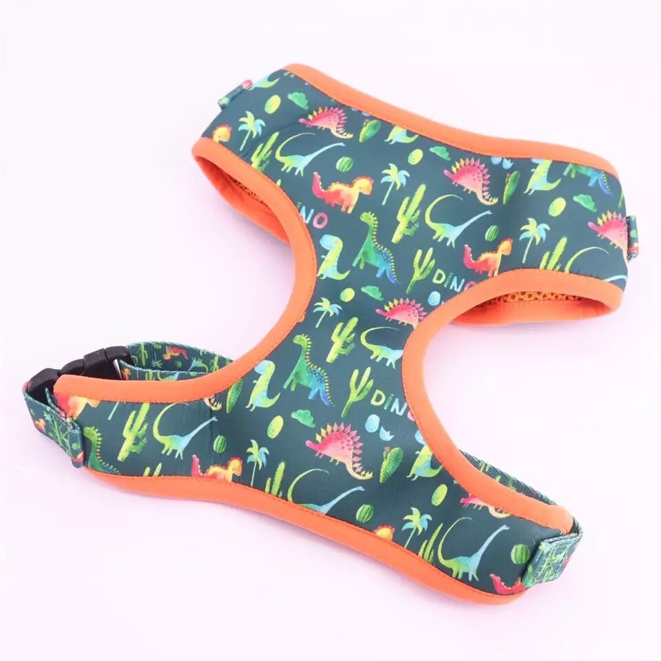 Dino dog Harness Fun dog Harness Set. No pull dog harness Etsy