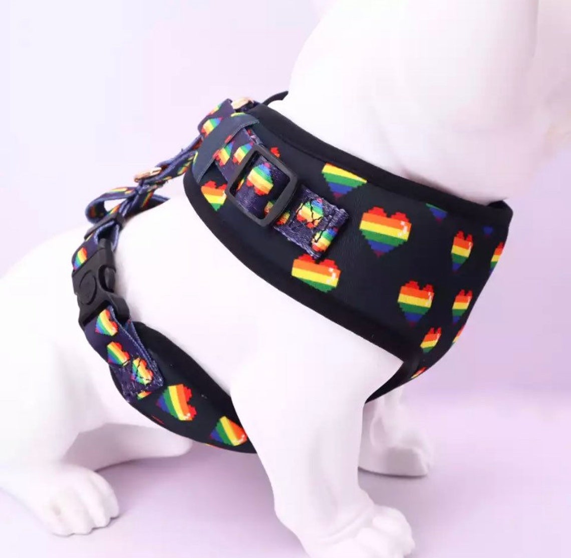 Personalized Dog Harness and Leash Pride Dog Harness Vest No Etsy