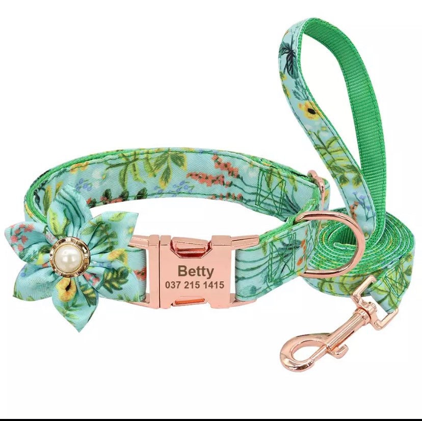 Personalize Dog Collar for Girl Female Puppy Collar and Etsy