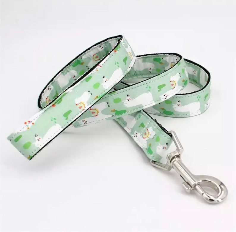 Personalized Dog Collar Boy XS Puppy Collar and Leash Dog Etsy