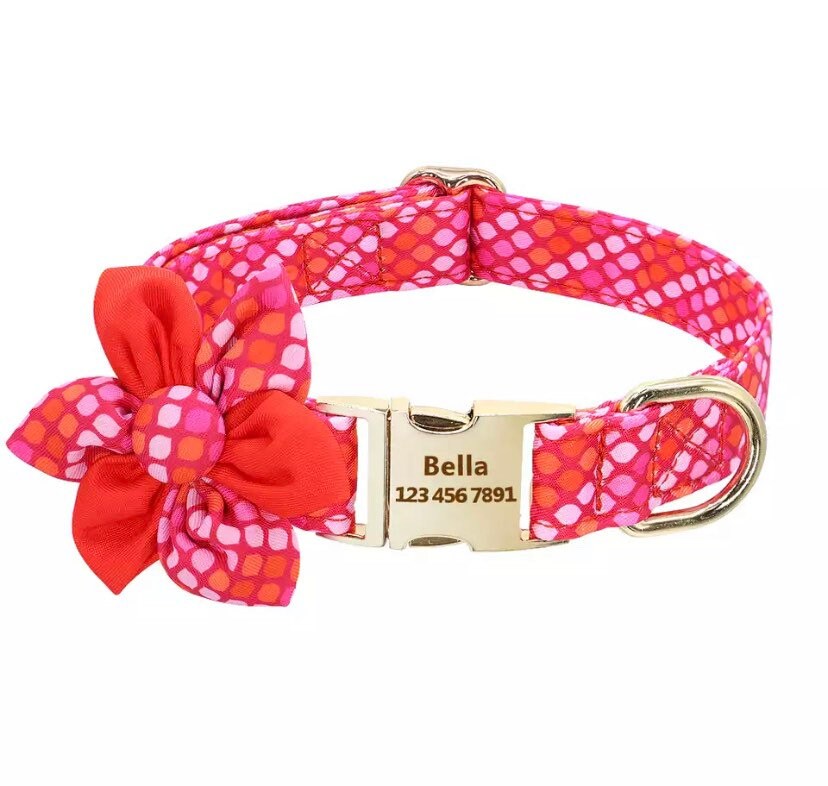 Personalized Dog Collar Female Dog Collar Custom Dog Collar Etsy