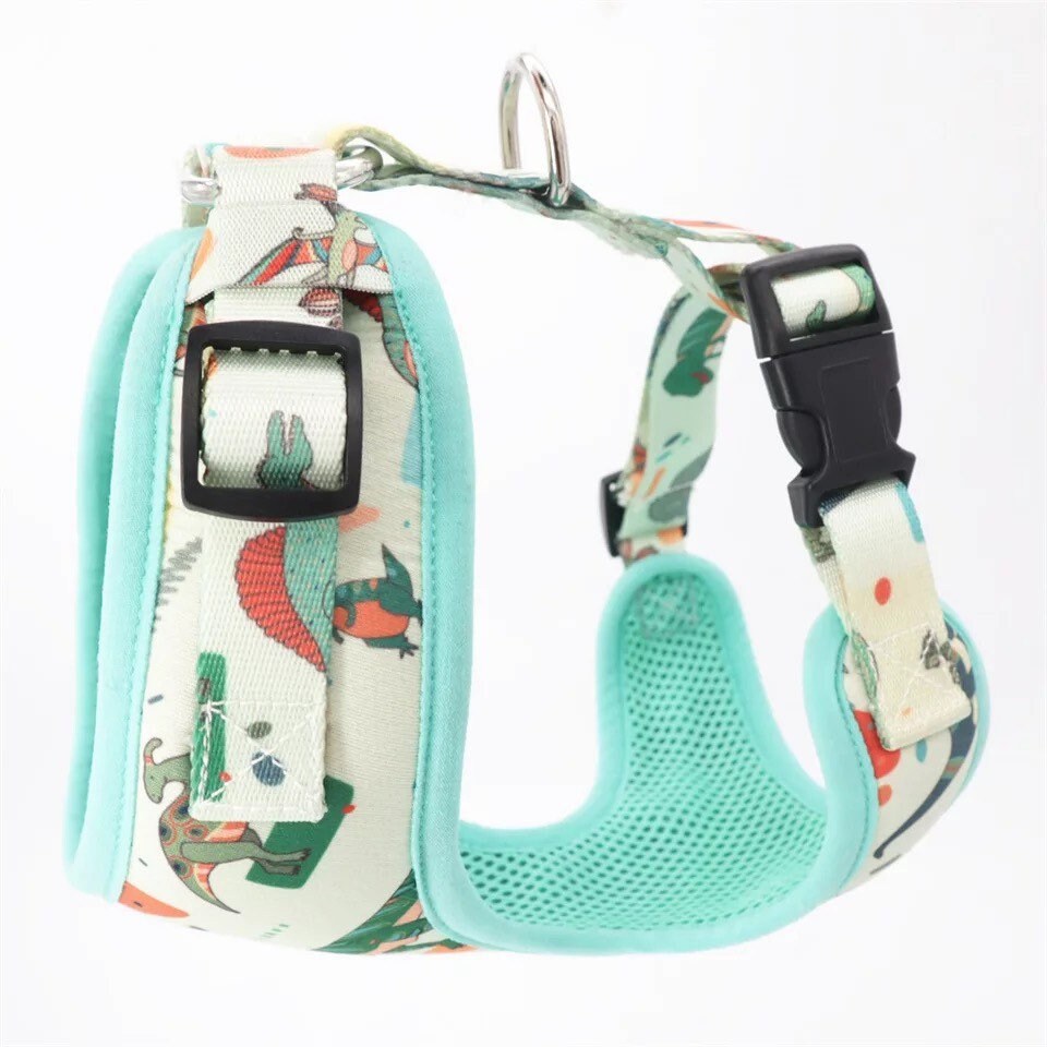 Dino Hundegeschirr Lustiges Hundegeschirr Set. Hundegeschirr Etsy.de