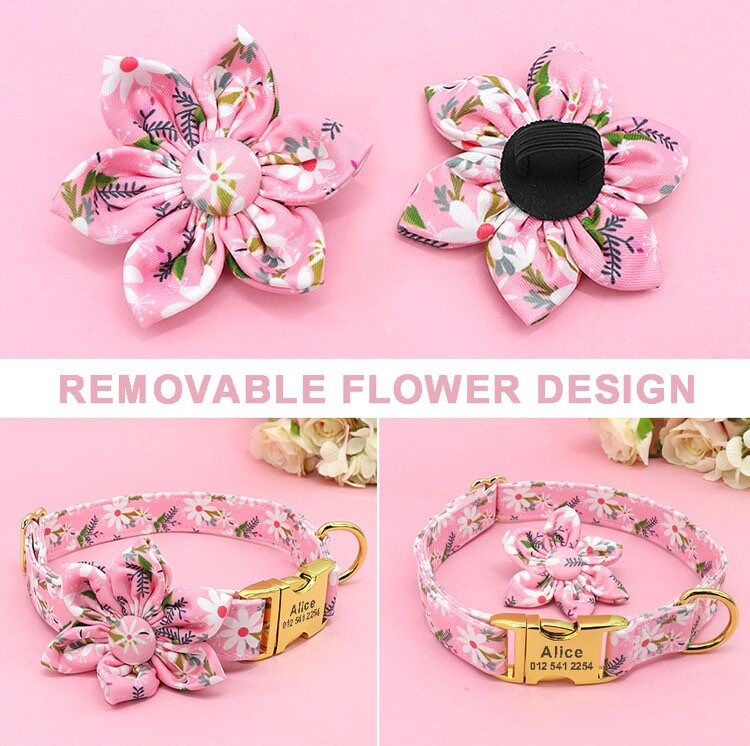 Dog Collar Personalized Girly Dog Collar Girl Dog Collar Etsy