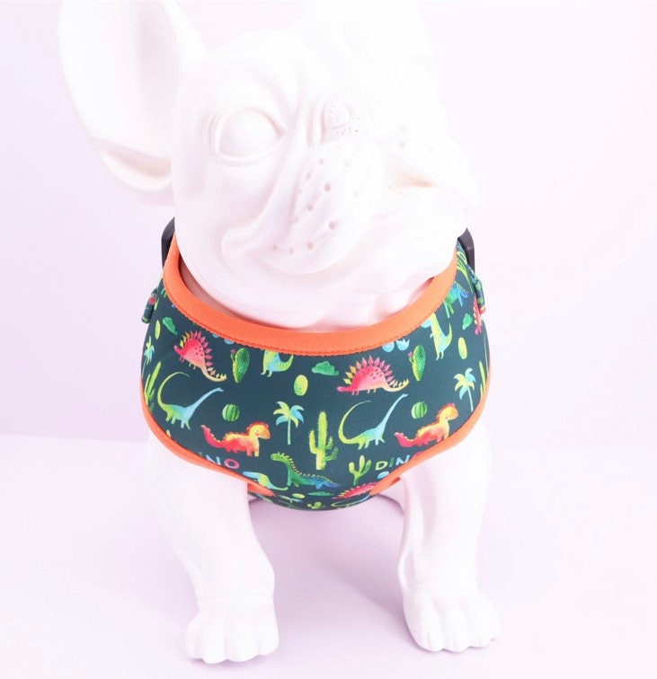 Dino dog Harness Fun dog Harness Set. No pull dog harness Etsy