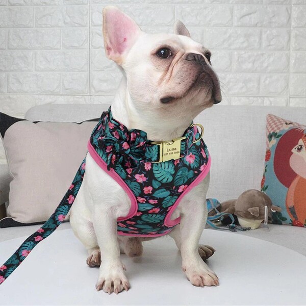Xs Dog Harness Etsy