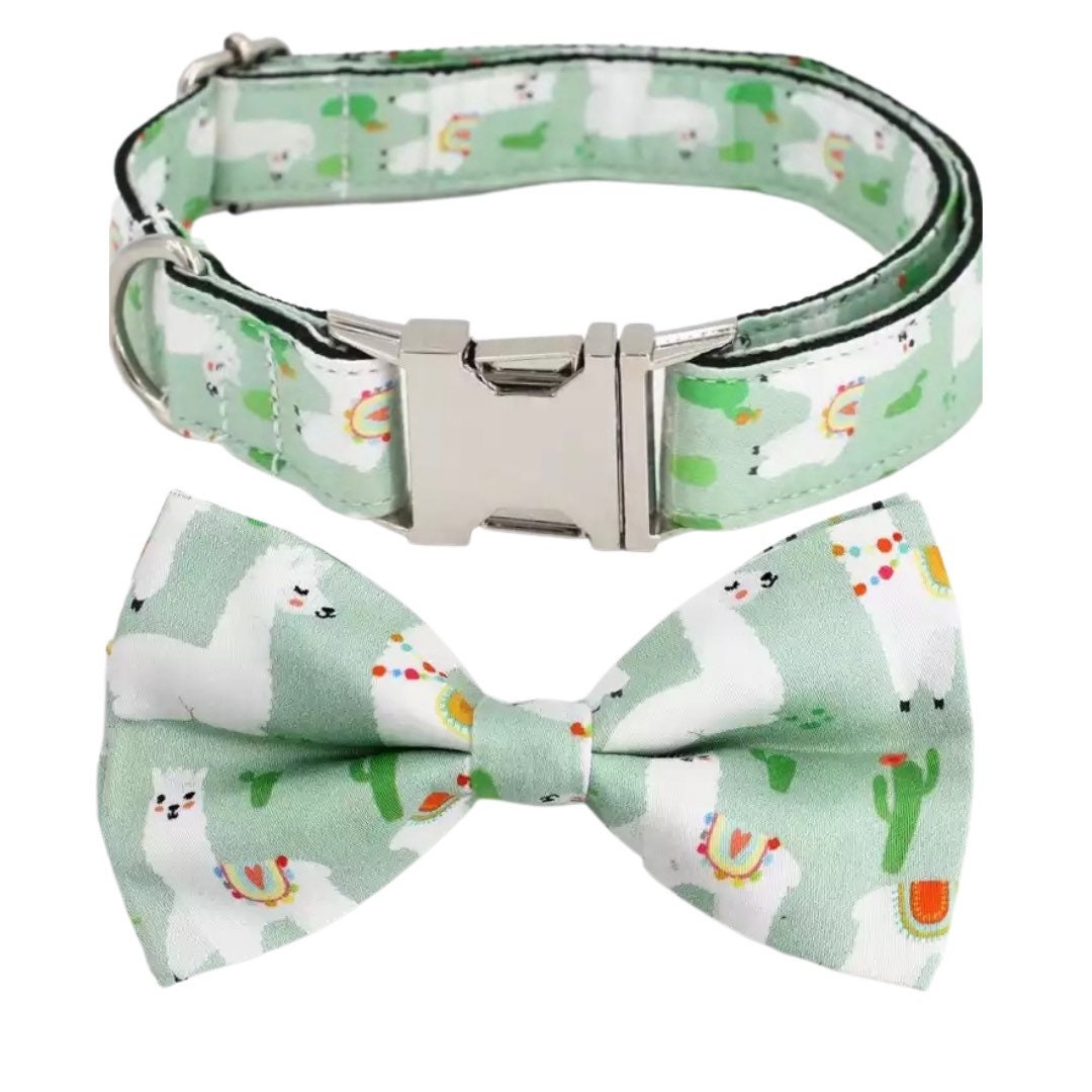 Personalized Dog Collar Boy XS Puppy Collar and Leash Dog Etsy