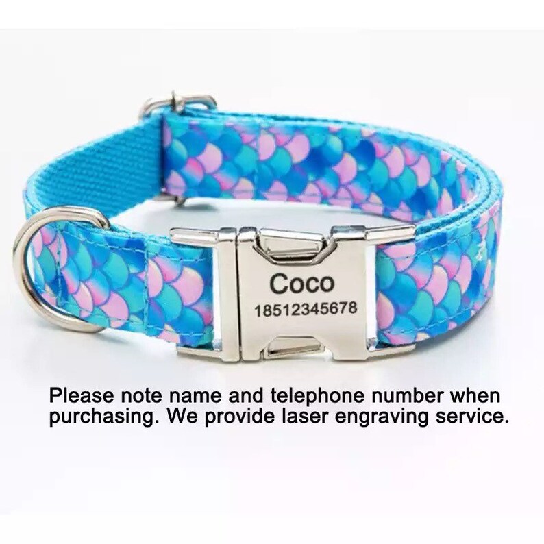 Personalized Dog Collar Female Boy Dog Collar Tag for Girl Etsy