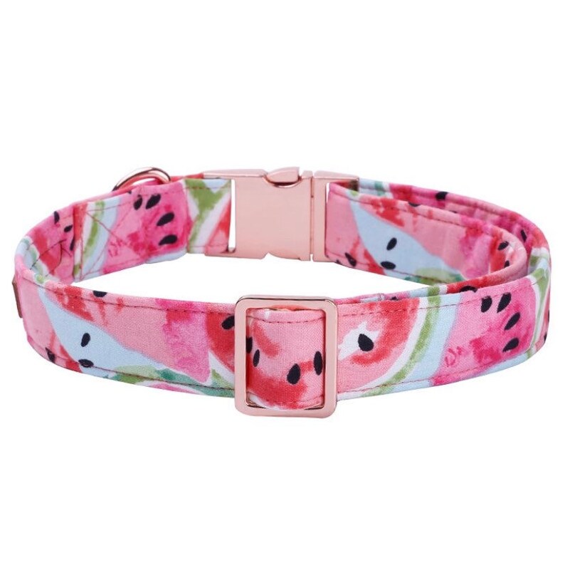 Personalized Dog Collar With Name Cute Dog Collar and Bow Etsy