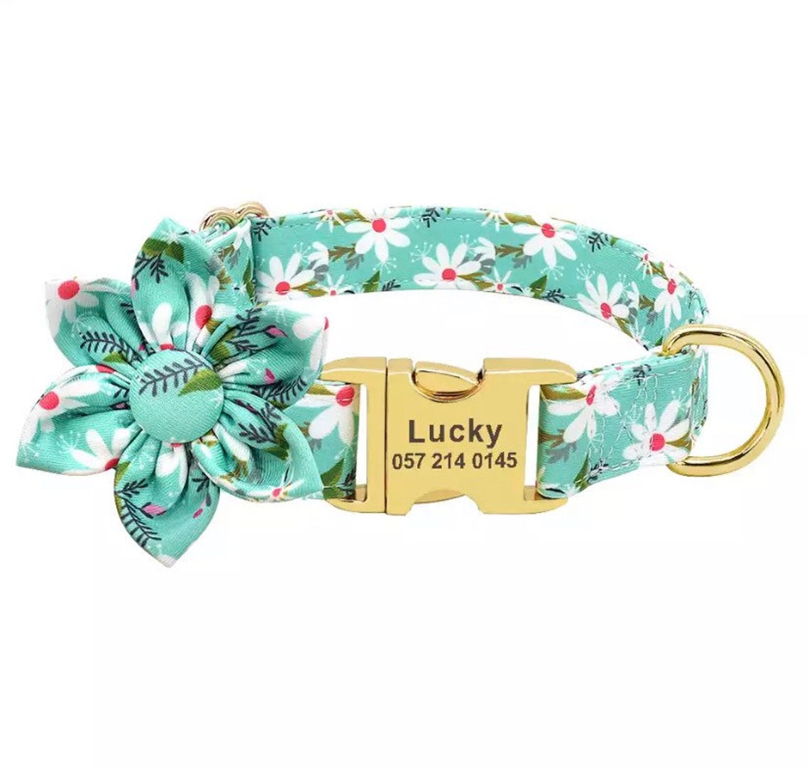 Dog Collar Personalized Girly Dog Collar Girl Dog Collar Etsy