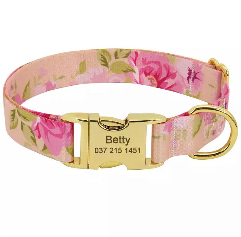 Personalize Dog Collar Engraved XS Dog Collar With Name Girl Etsy