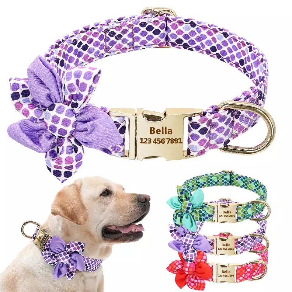 Personalized Dog Collar Female dog collar polka Dog Collar Etsy