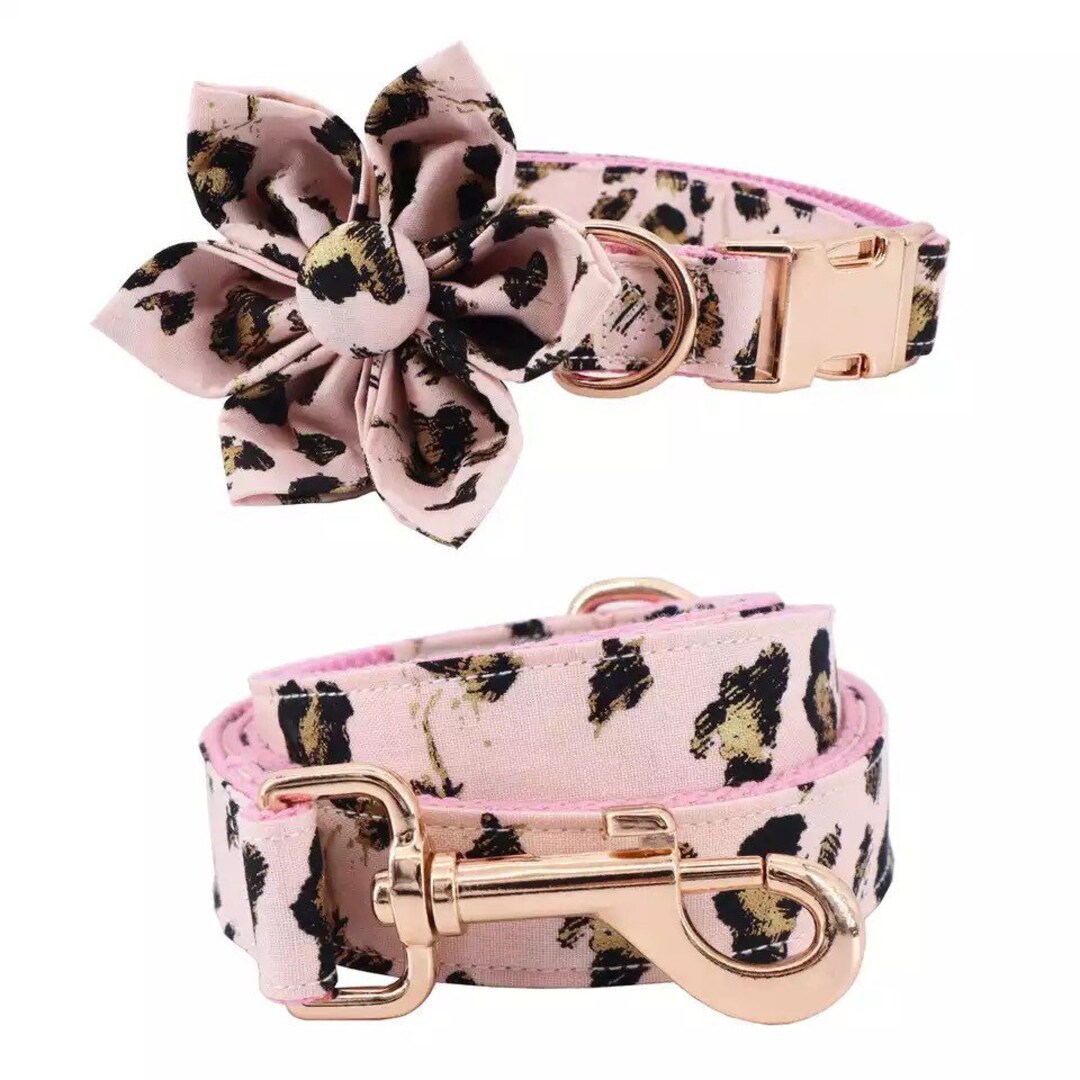 Personalized Dog Collar Engraved, Girl Dog Flower Collar Bow, Leopard