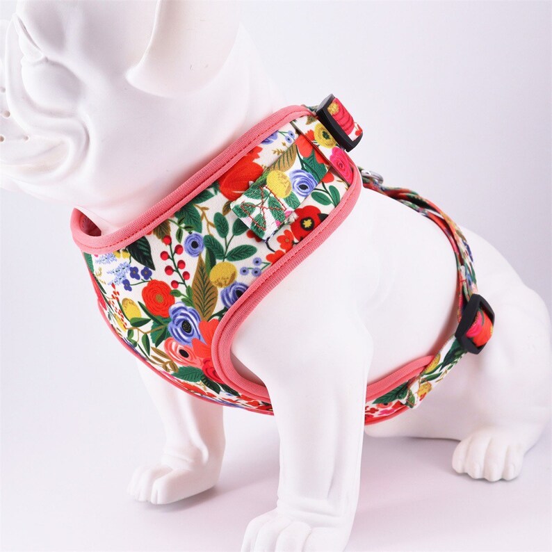 Floral Dog Harness Girl Dog Harness Set. No Pull Dog Harness Etsy