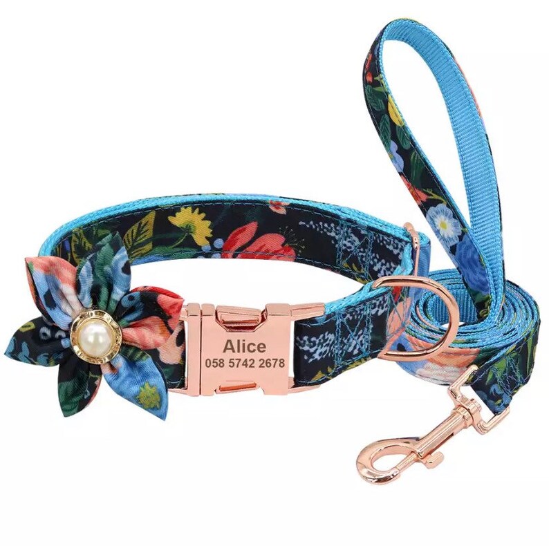 Personalize Dog Collar for Girl Female Puppy Collar and Etsy