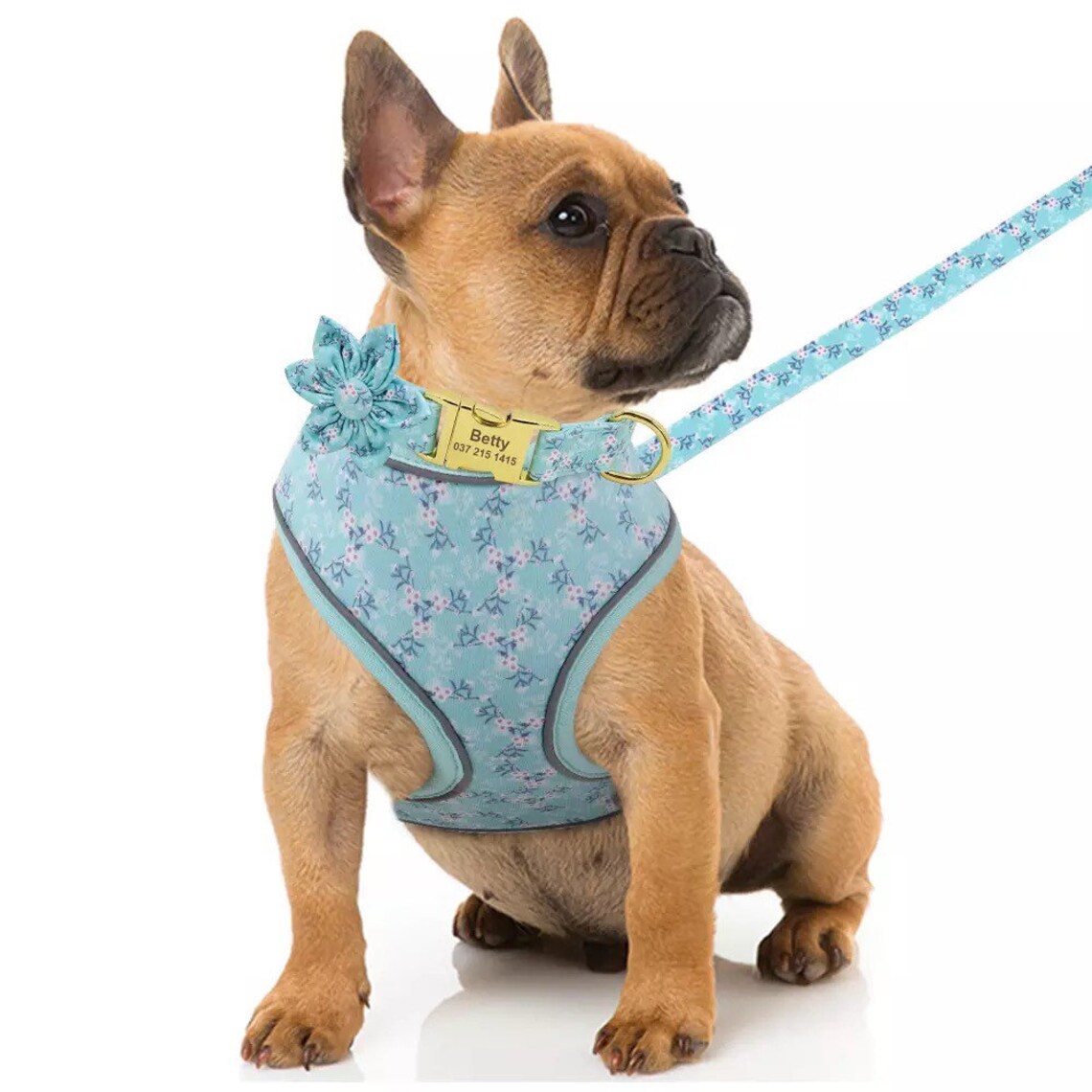 Personalized Dog Harness Leash Girl Dog Harness No Pull Etsy