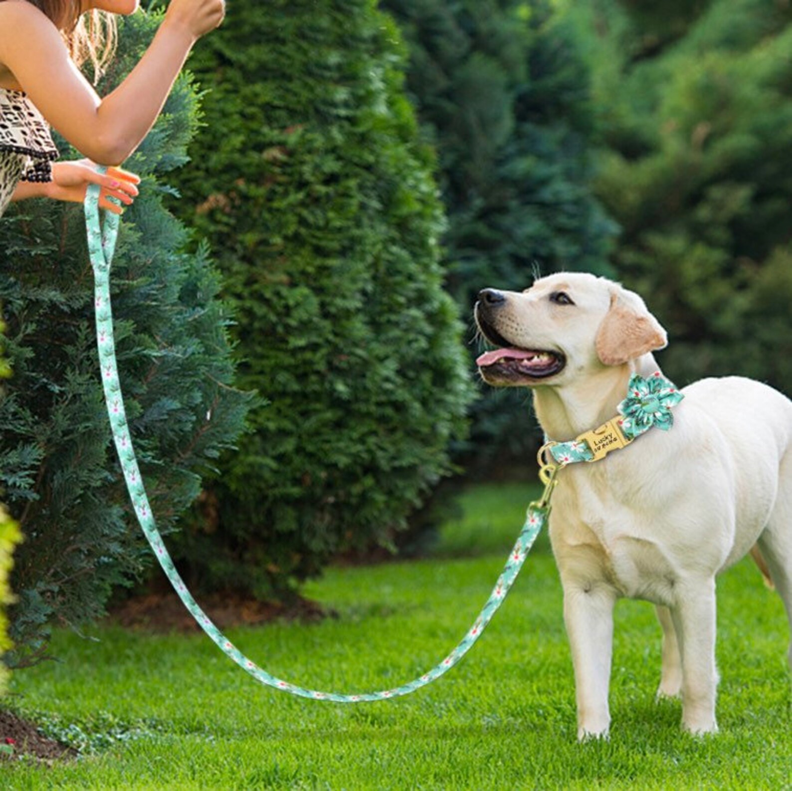 Dog Collar Personalized Girly Dog Collar Girl Dog Collar Etsy