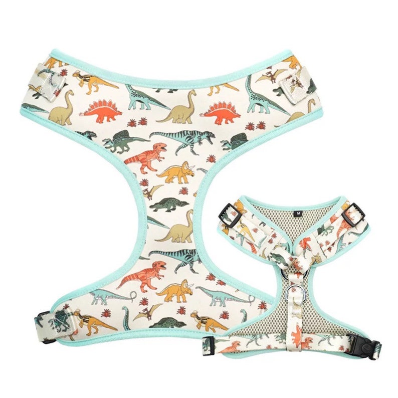 Personalized Dog Harness Set Dinosaur Dog Collar & Leash No Etsy