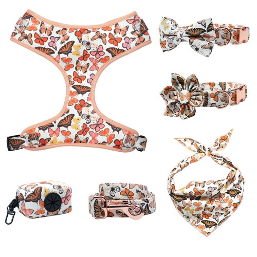 Personalized Dog Harness Set Dog Collar & Leash No Pull Etsy