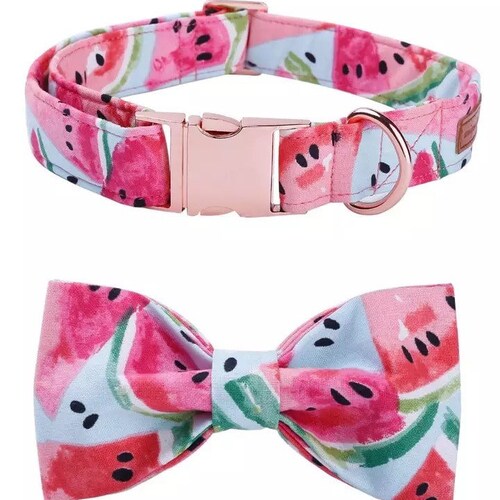 Personalized Dog Collar Boy XS Puppy Collar and Leash Dog Etsy