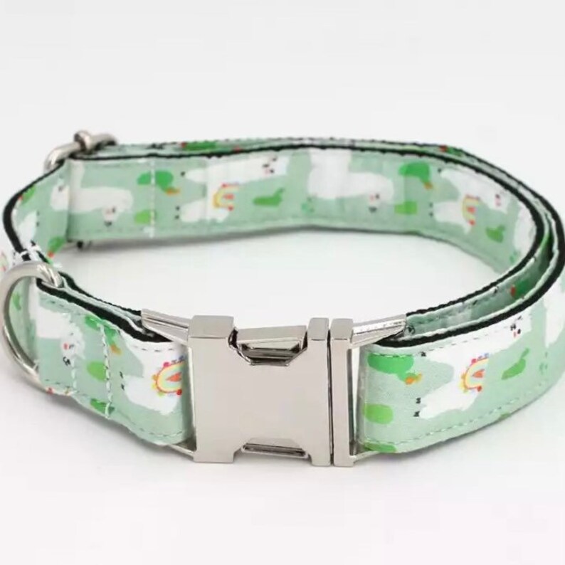 Personalized Dog Collar Boy XS Puppy Collar and Leash Dog Etsy