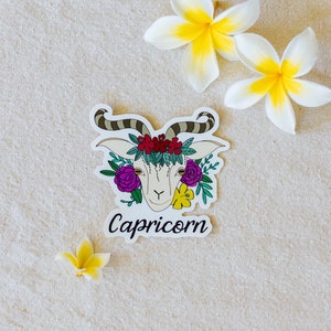 CAPRICORN STICKER, zodiac, star sign, sticker, goat
