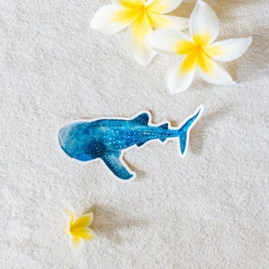 WHALE SHARK sticker