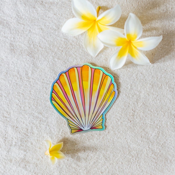 Sunrise Shell - Etsy