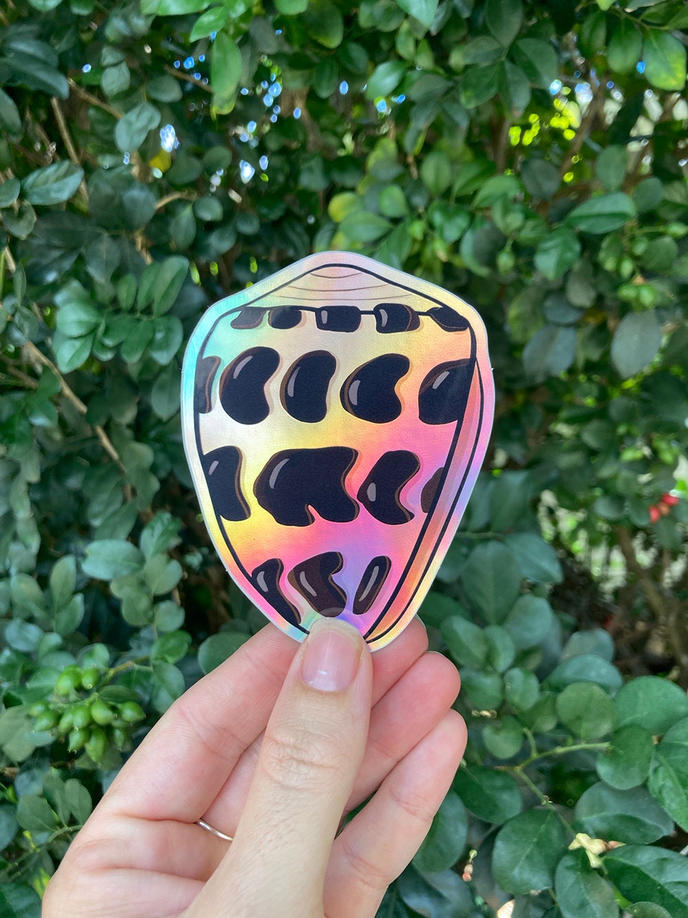 Fan Shell Sticker Embellishments The Holographic P\u0101ua Shell Sticker Stickers ...