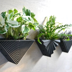 Modern Triangle Black Set of 3 Wall Planter Black Wood Finish