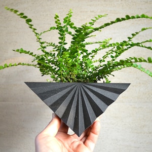 Modern Triangle "Fan Black" Wall Planter Black Wood Finish