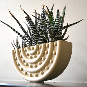 Mid Century Wood "Rounded Stud" Wall Planter