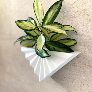 Mid Century Modern Circle Wall Planter White Sheen Finish